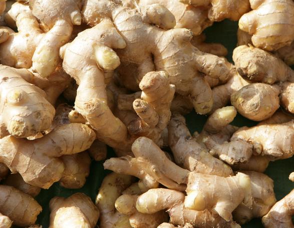 晕车用姜怎么处理(晕车贴姜片在哪个手)