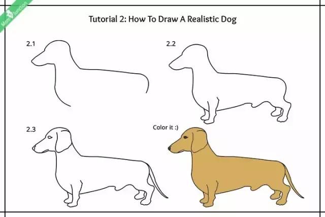 如何画简单的小狗,小狗简笔画步骤