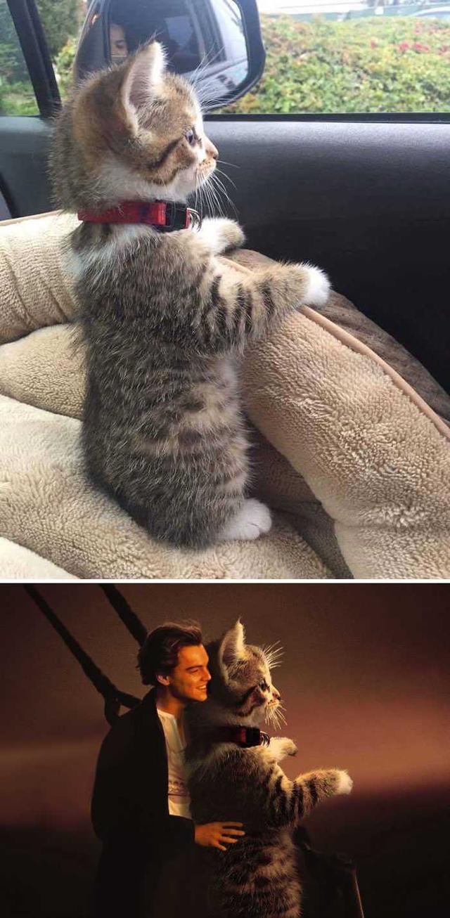 PS大神们的脑洞作品，太有才了！