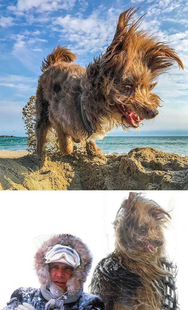 PS大神们的脑洞作品，太有才了！