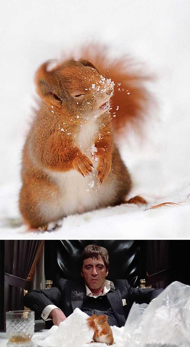 PS大神们的脑洞作品，太有才了！