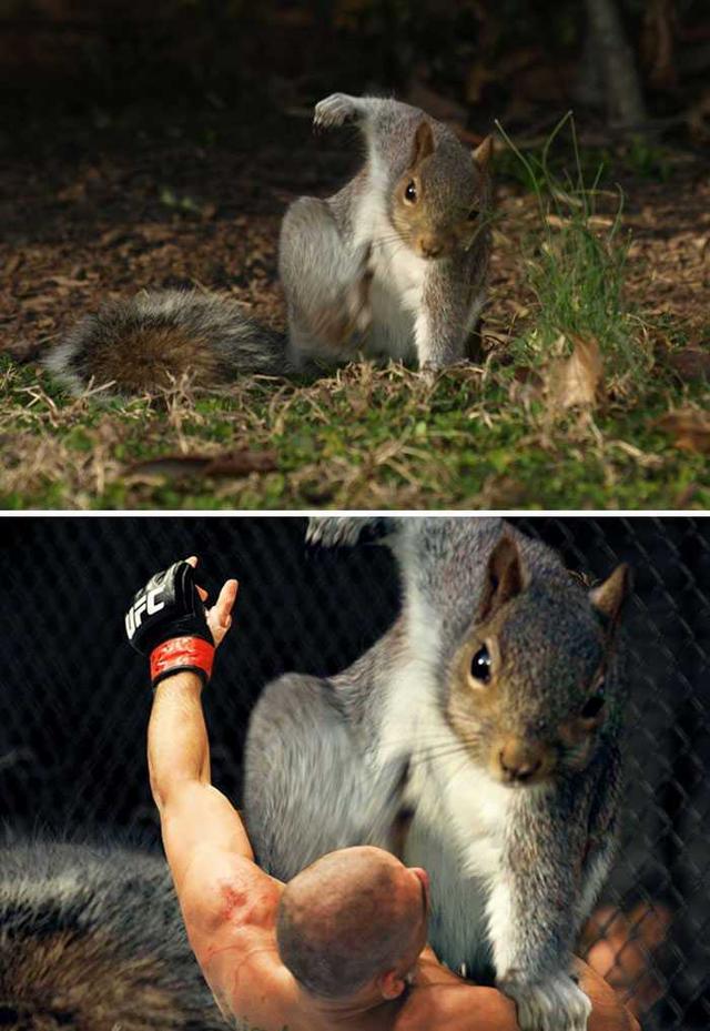 PS大神们的脑洞作品，太有才了！