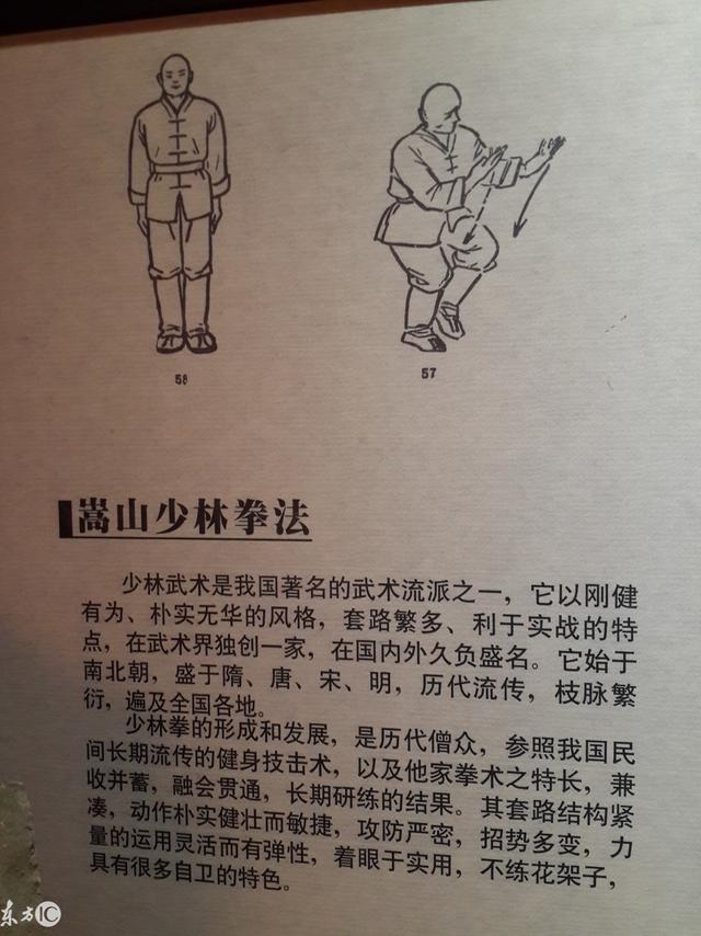 武德什么意思(什么叫武德)