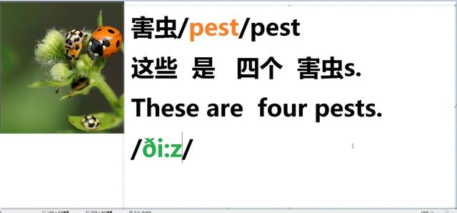 pest是什么意思(pest怎么读)