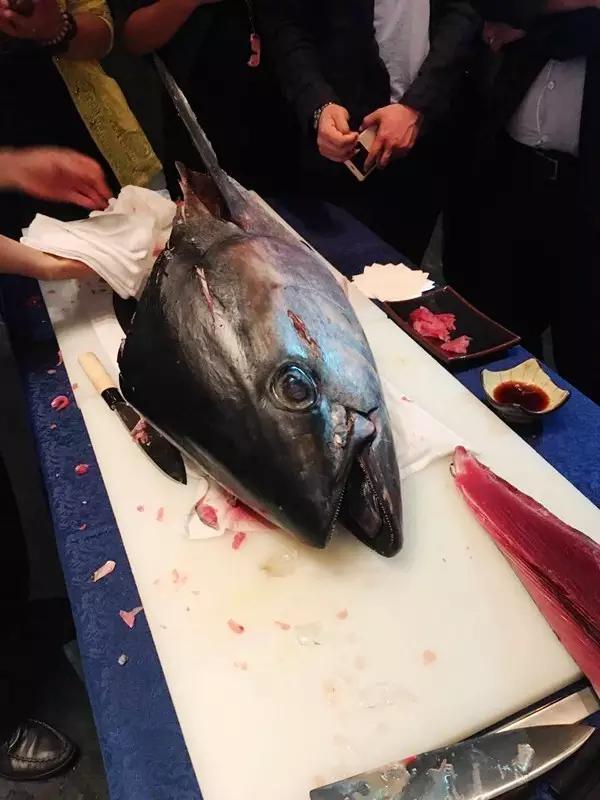 银川一家酒店惊现120斤的金枪鱼,看见的人都拍照