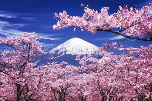 日语呀买碟什么意思(日语 呀买碟 发音)-好唯一