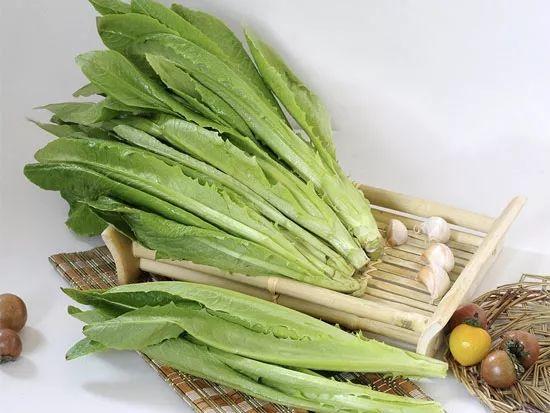 求教,怎么区别生菜跟油麦菜?长的真像啊