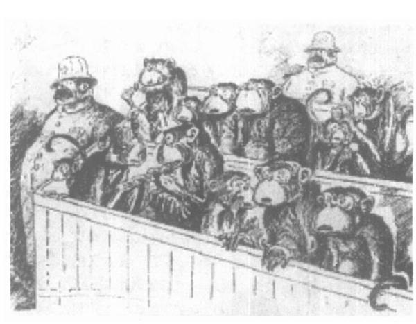 达尔文与上帝的百年“较量”