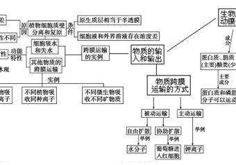 發(fā)生滲透作用的條件