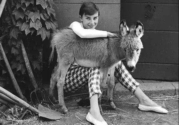 iwillsupportyouforever,myluckyman.望采纳谢谢