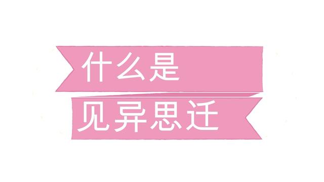 见异思迁是什么意思(见异思迁一只西飞雁)