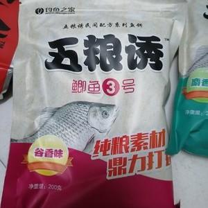 用什么可以当鱼饵 爱游钓鱼网