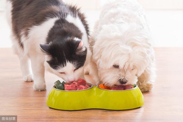 狗喜欢吃猫的食怎么办，如何防止狗吃猫的食