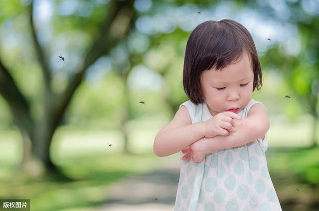 宝宝被蚊子叮咬，甚至起了小水泡！试试这些小方法，消肿止痒