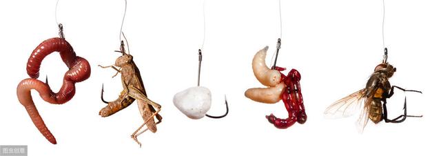 新手钓鱼人应该如何分类各种商品饵料?