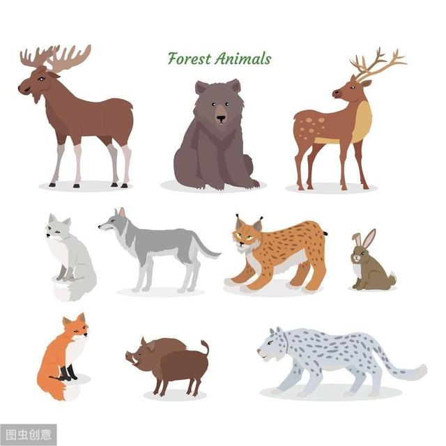 世界上有多少不同种类的动物