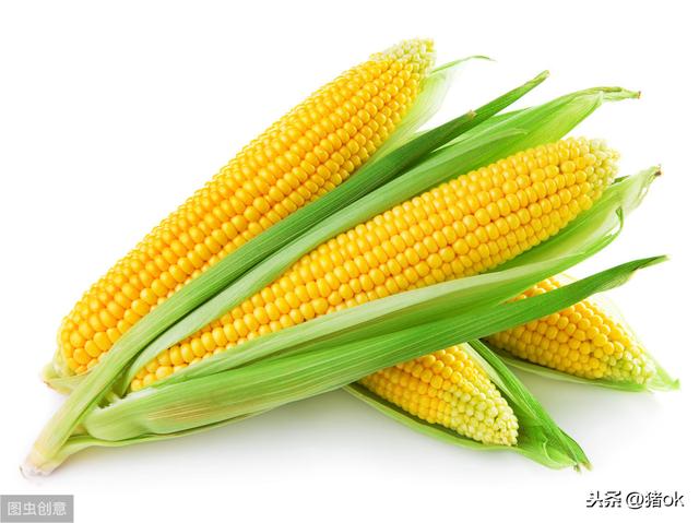 玉米价格多少钱一斤(今日玉米价一斤多少钱)