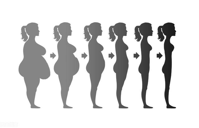 減肥的關鍵詞：體脂率！怎麼提高身體代謝水平，促進身體燃脂？
