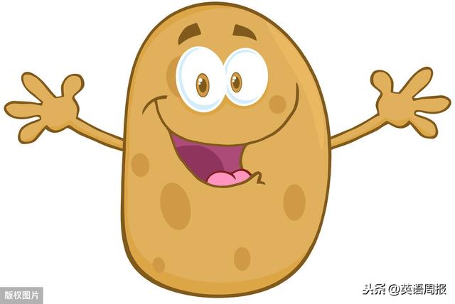 土豆用英语怎么说呢(西红柿的英语单词)