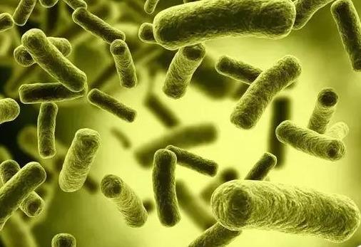 咪鲜胺和溴菌清在杀菌方面有什么区别