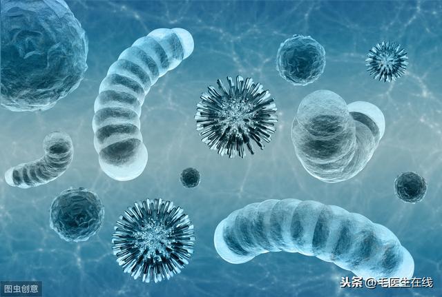 细菌有“好”、“坏”之分，为什么病毒都是有“毒”的？