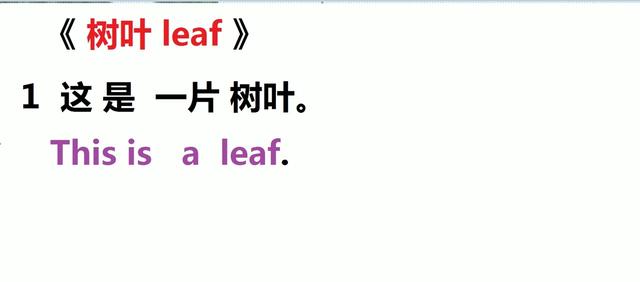 leaf是什么意思(leafs是什么意思)