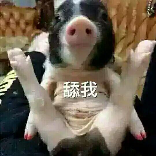 舔我什么意思(吻下面吻进去什感觉)