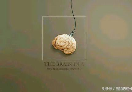 半脑什么意思海南话半脑什么意思