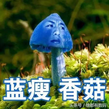 香菇兰瘦是什么意思(蓝瘦香菇表情图片)