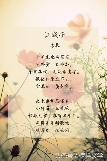 诗说|萧 潇