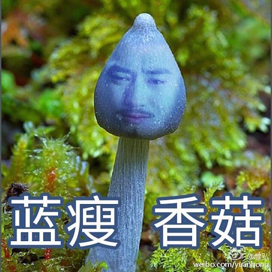 蓝瘦香菇什么意思:蓝瘦香菇下一句是什么