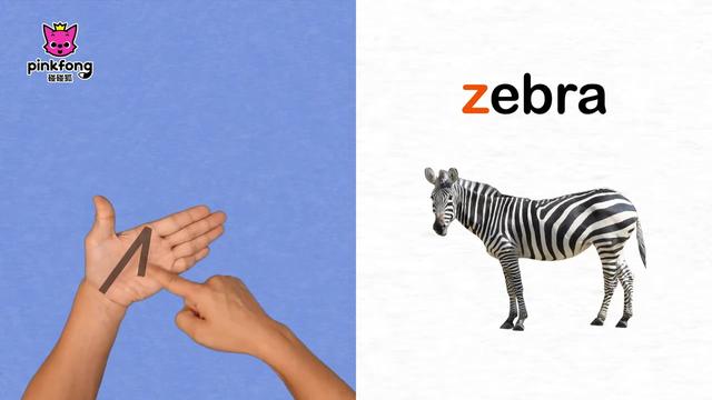 zebra怎么读音发音图片