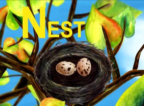 nest怎么读图片