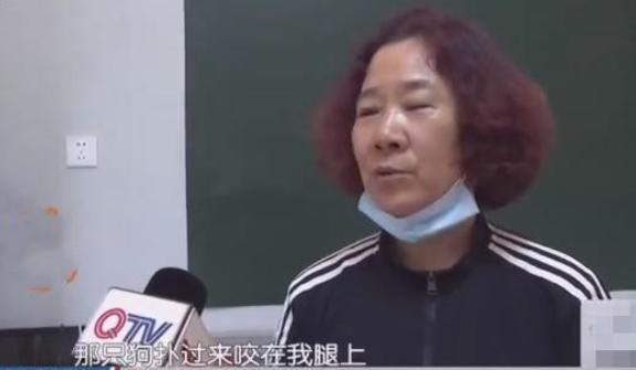 女子被狗咬伤，因医药费与狗主人争执又被咬，狗主人：按倒霉处理