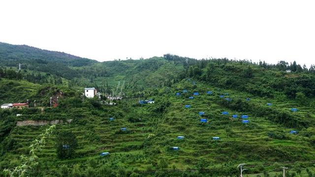 盘州市鸡场坪镇塘子边村：土鸡不“土”