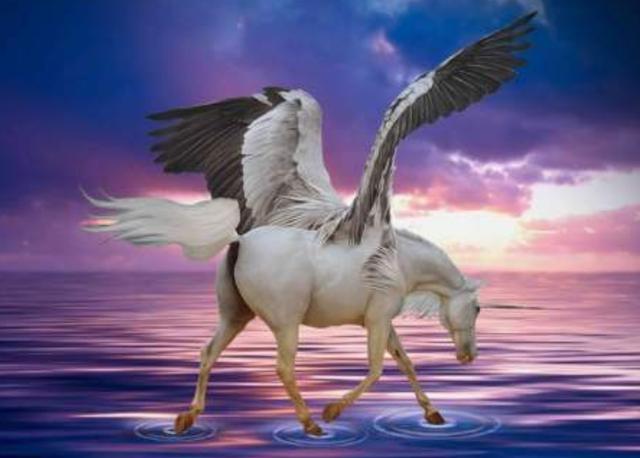 飞黄腾达是什么意思(飞黄腾达的近义词)