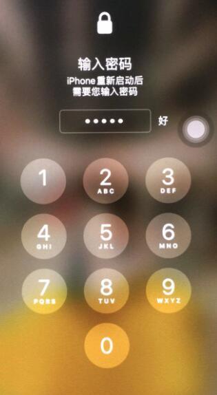 苹果手机密码栏