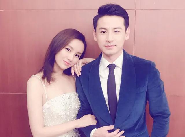 艾辰什么意思(艾辰的落表达的是什么意思)