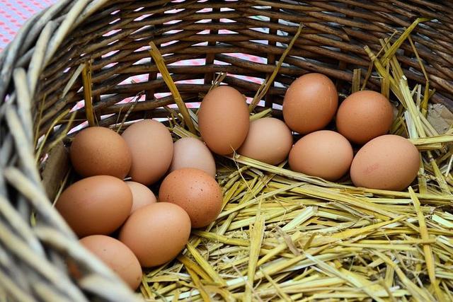 白皮蛋是土鸡下的蛋，营养价值比红皮蛋更高？答案或和你想的不同