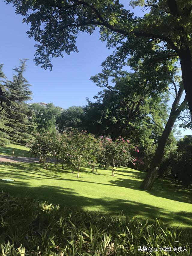 赋心谣——八月桂花遍地香