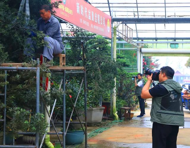 天下摄影家齐聚沭阳国际花木城