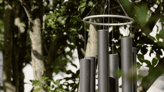 夫妻抵押掉上海独栋洋房，借1300万到乡下造房：我自在了