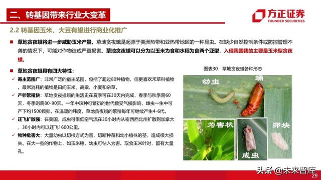 种子行业深度报告：重视粮食安全，抓住转基因投资主线