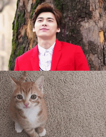 在线自夸？学员撞脸导师霸占热搜，他们竟这么