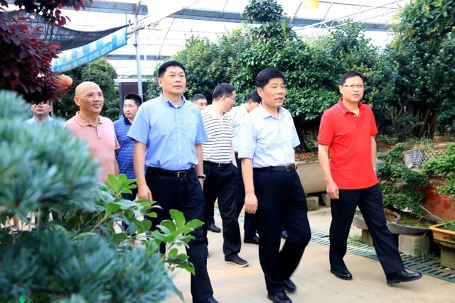 县长彭伟率领淮安考查团抚玩花木城