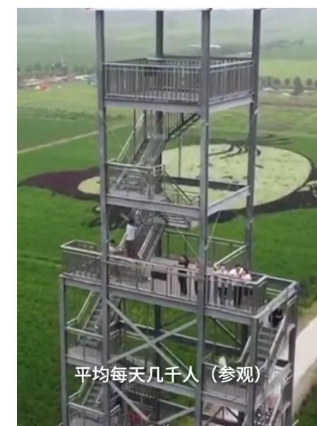 袁隆平|农民种出袁隆平钟南山稻田画 平均每幅画约3000个点用5种颜色的水稻组成