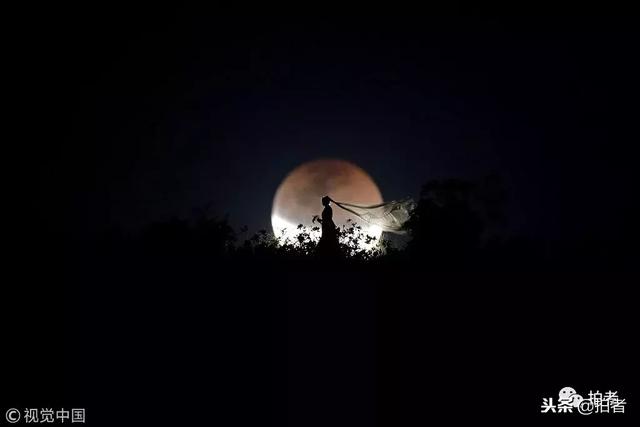 路透社公布2018年度图片，INS上点赞最多的照片有哪些？