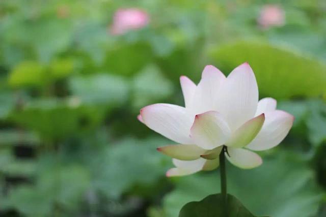 《周易》十句话，教你读懂天道人道