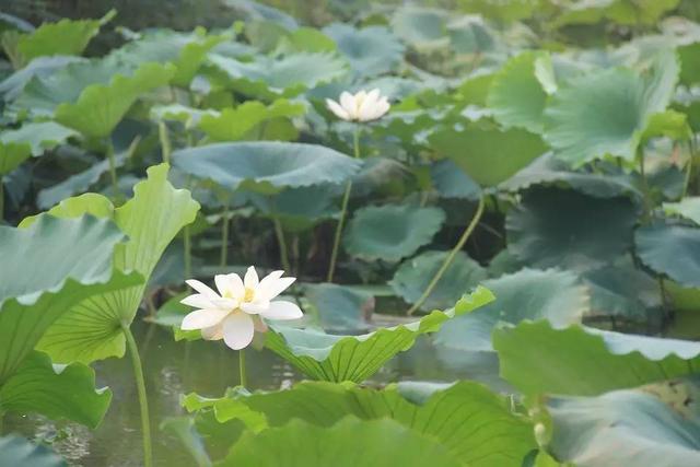 《周易》十句话，教你读懂天道人道