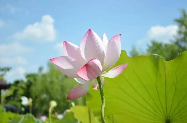 《周易》十句话，教你读懂天道人道